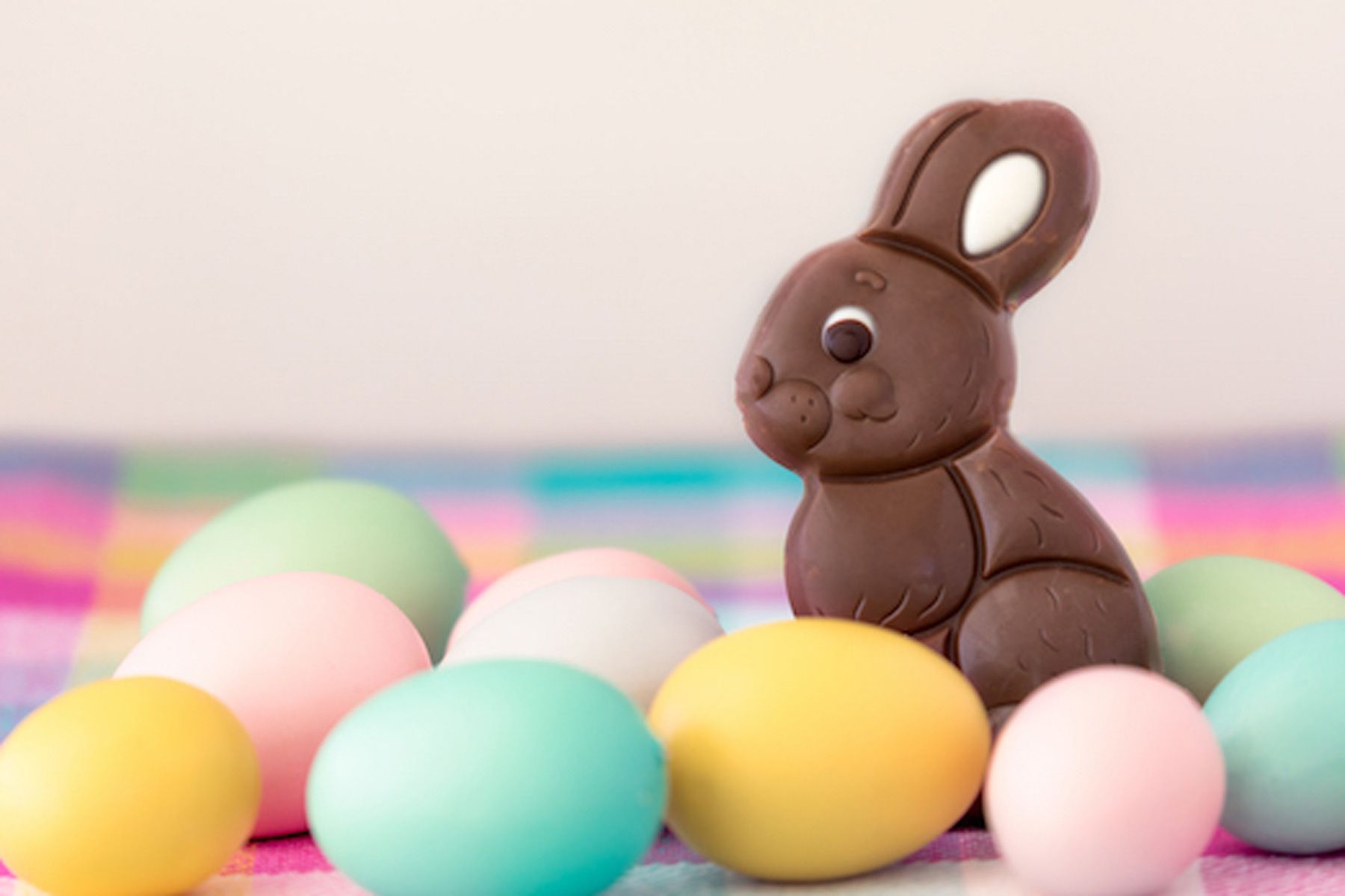 шоколадный пасхальный кролик