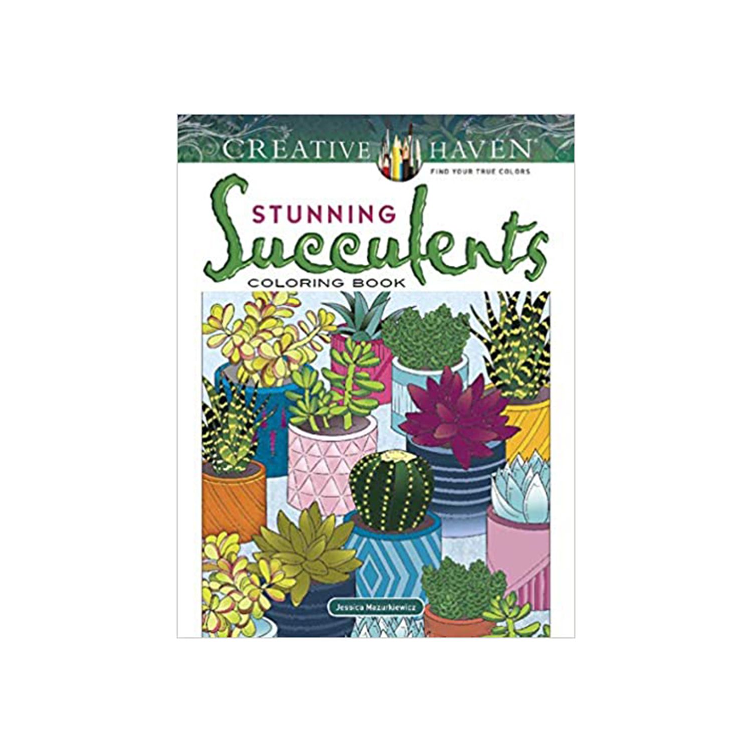 Creative Haven Impresionante libro para colorear de suculentas