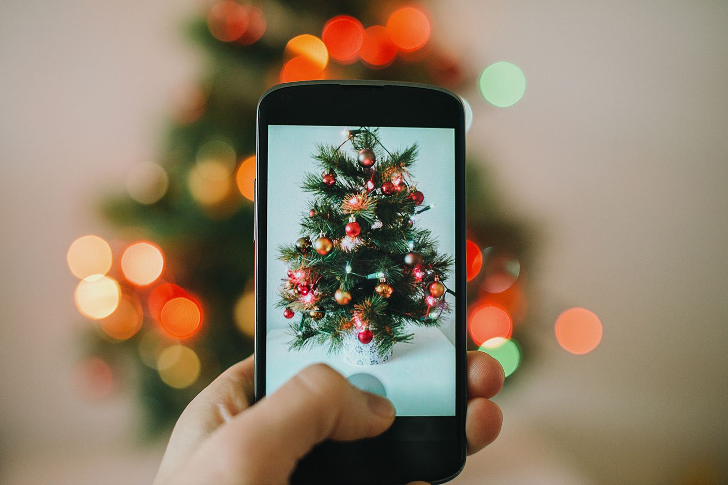 Telefonfoto vom Weihnachtsbaum