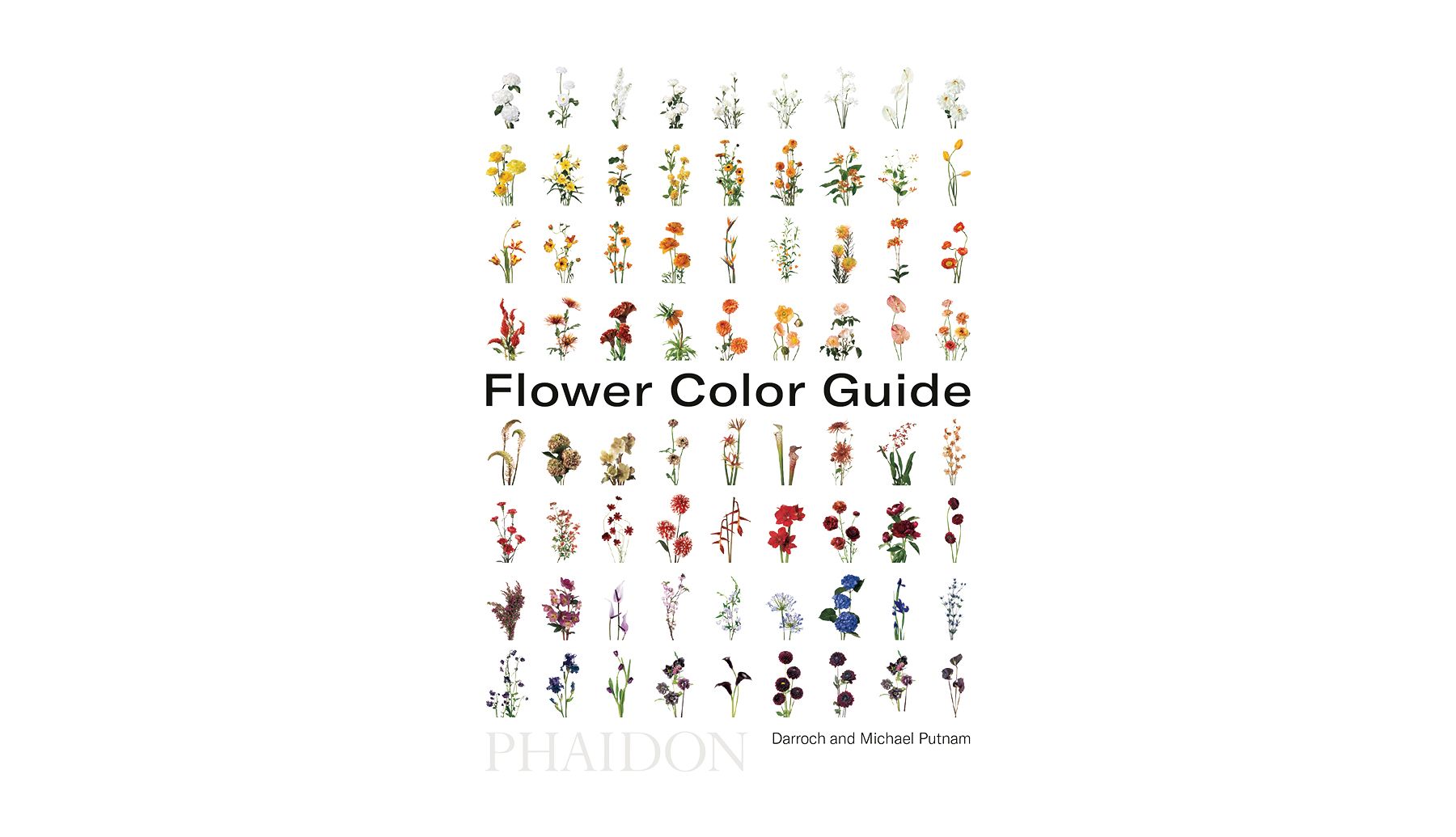 ყვავილების ფერის სახელმძღვანელო Darroch და Michael Putnam