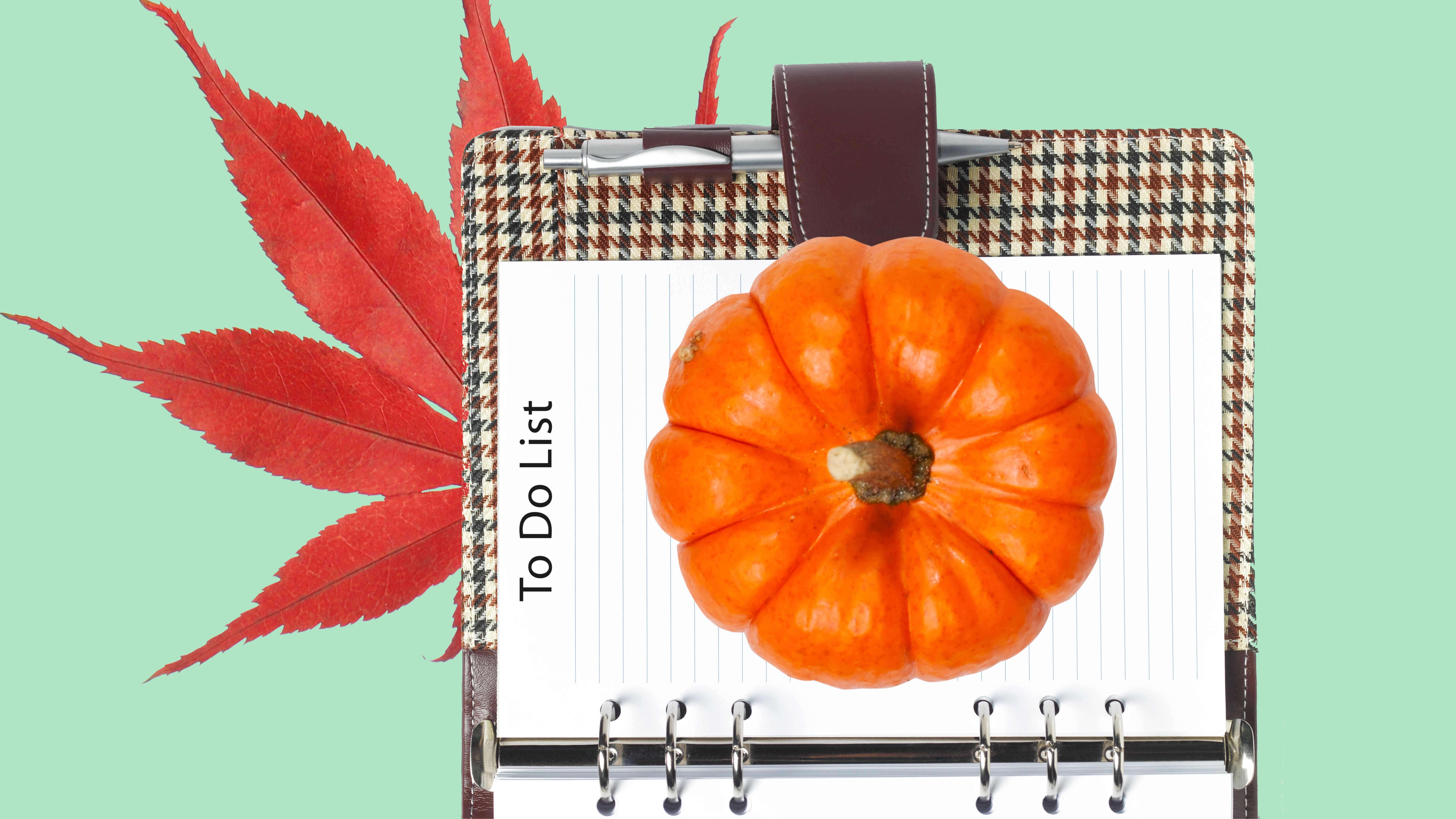 Diese Checkliste für die Thanksgiving-Vorbereitung ist das Geheimnis für den reibungslosesten Feiertag aller Zeiten