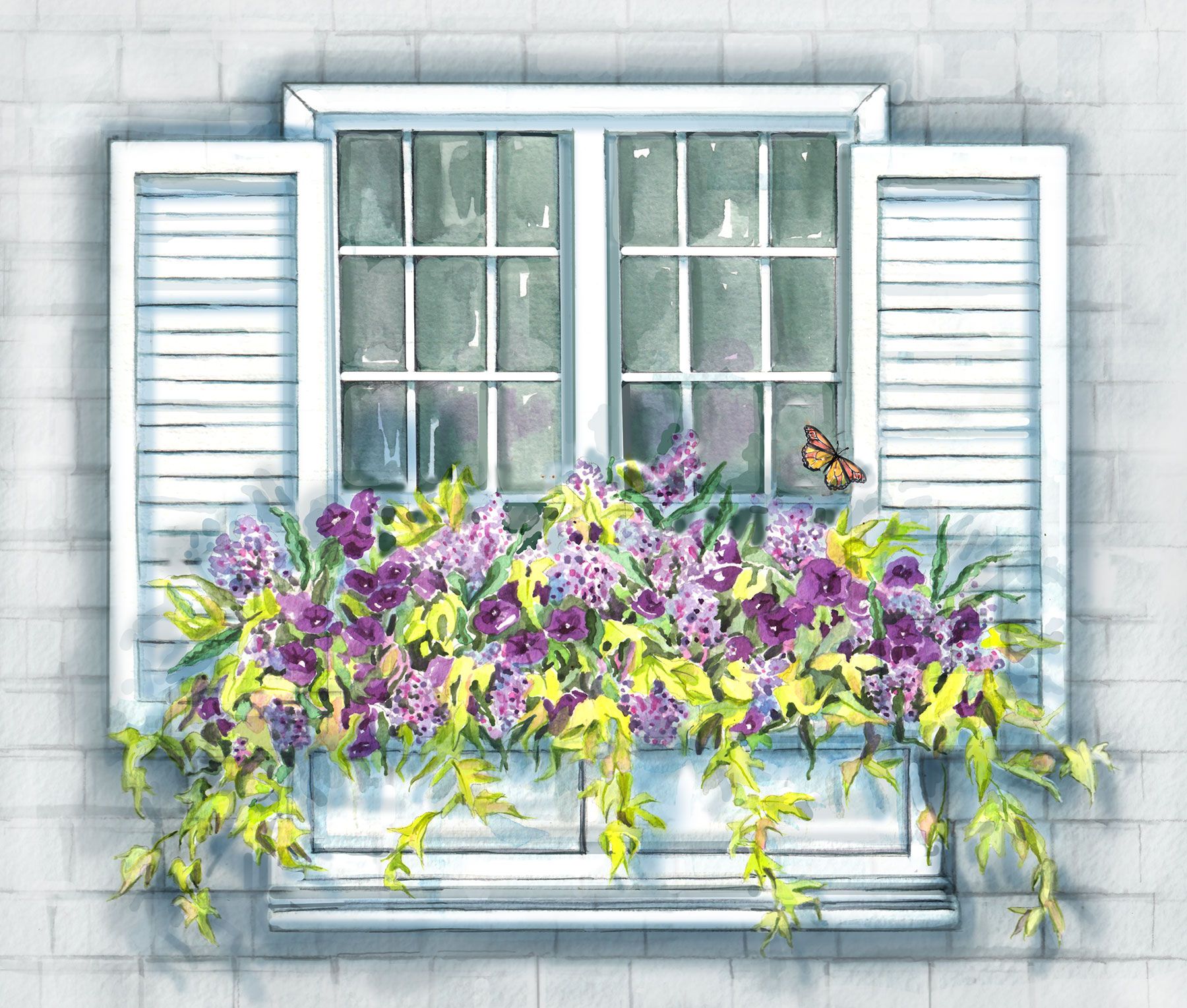 container-gardening-window-box-0519hom