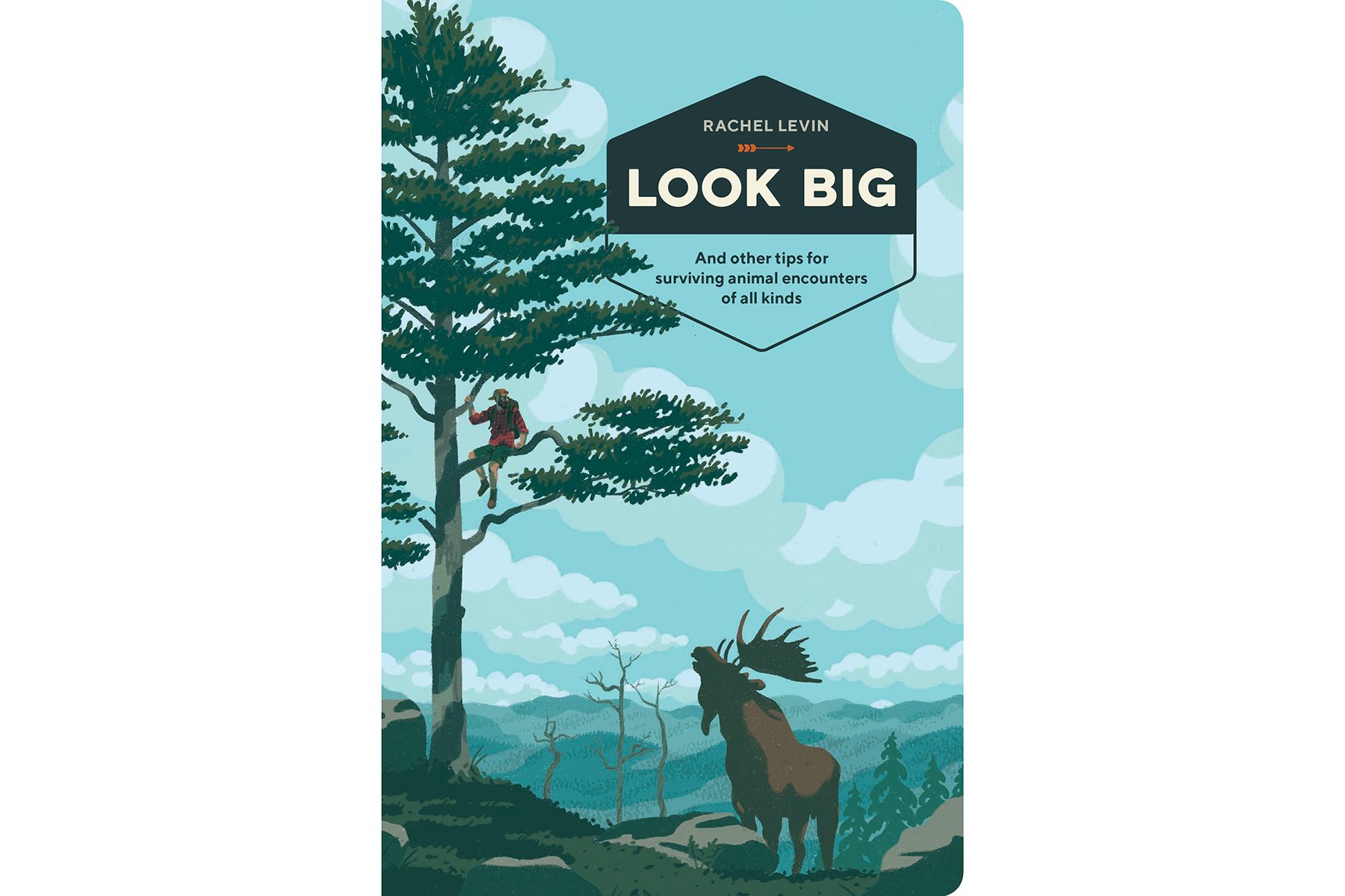 Cover af Look Big, af Rachel Levin