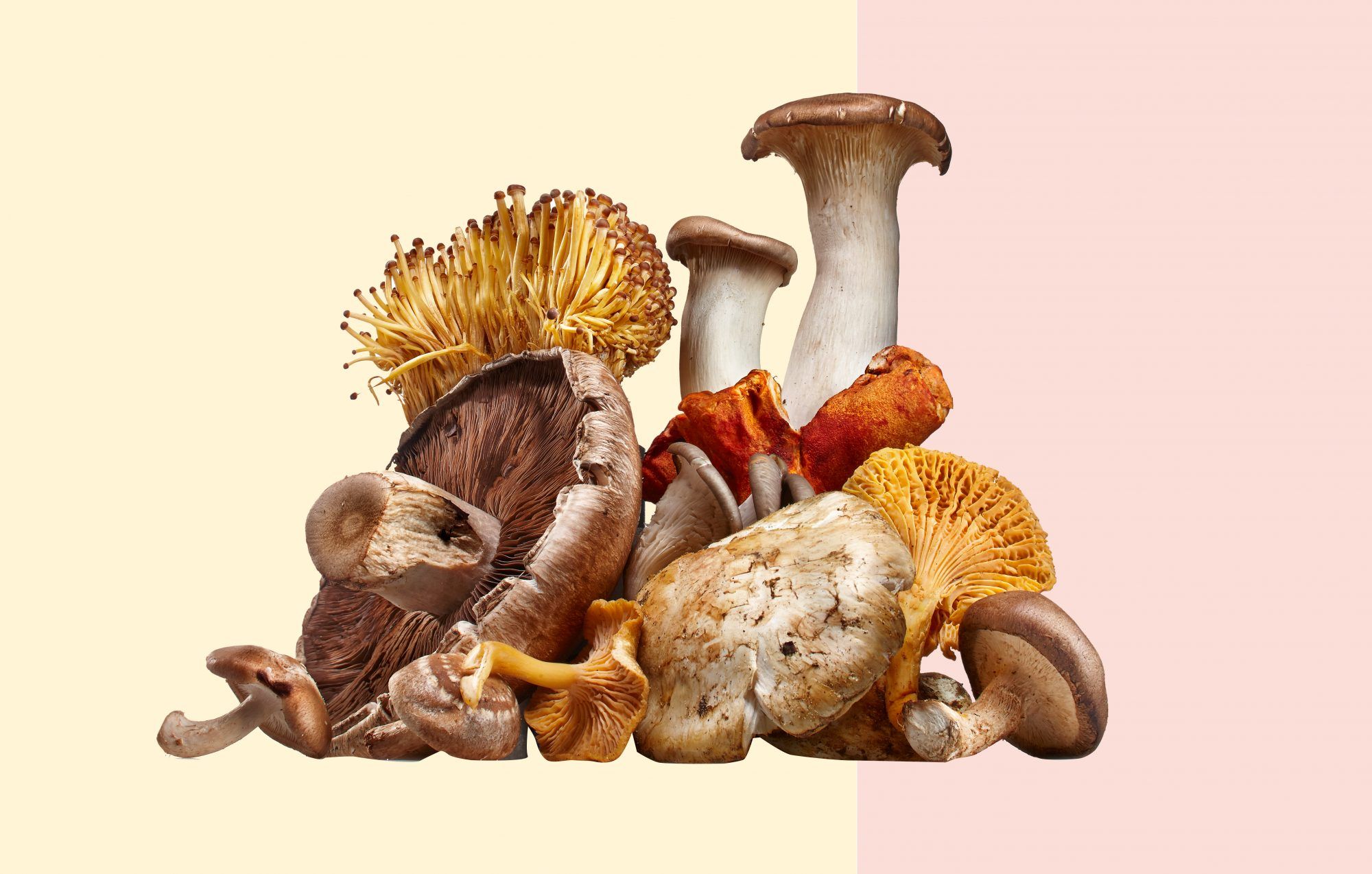 Elke gezonde reden om meer champignons te eten