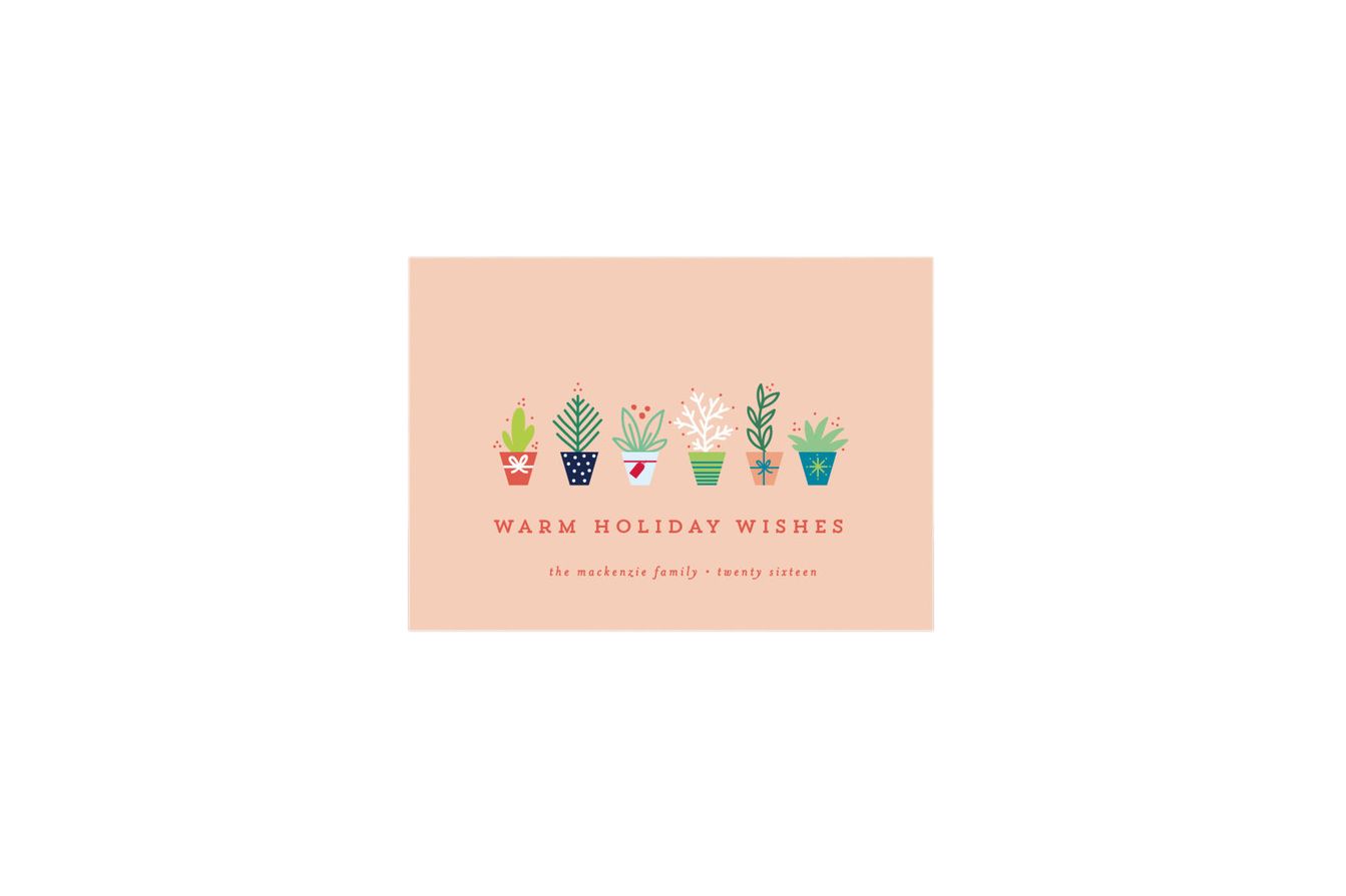Succulents Holiday Card
