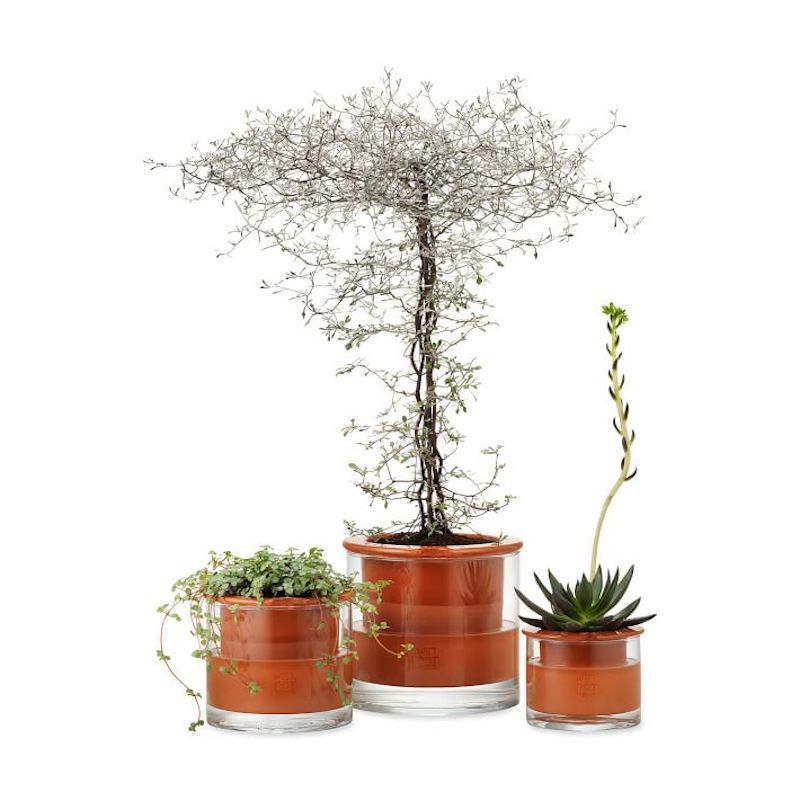 terracotta selvvandende plantepotter