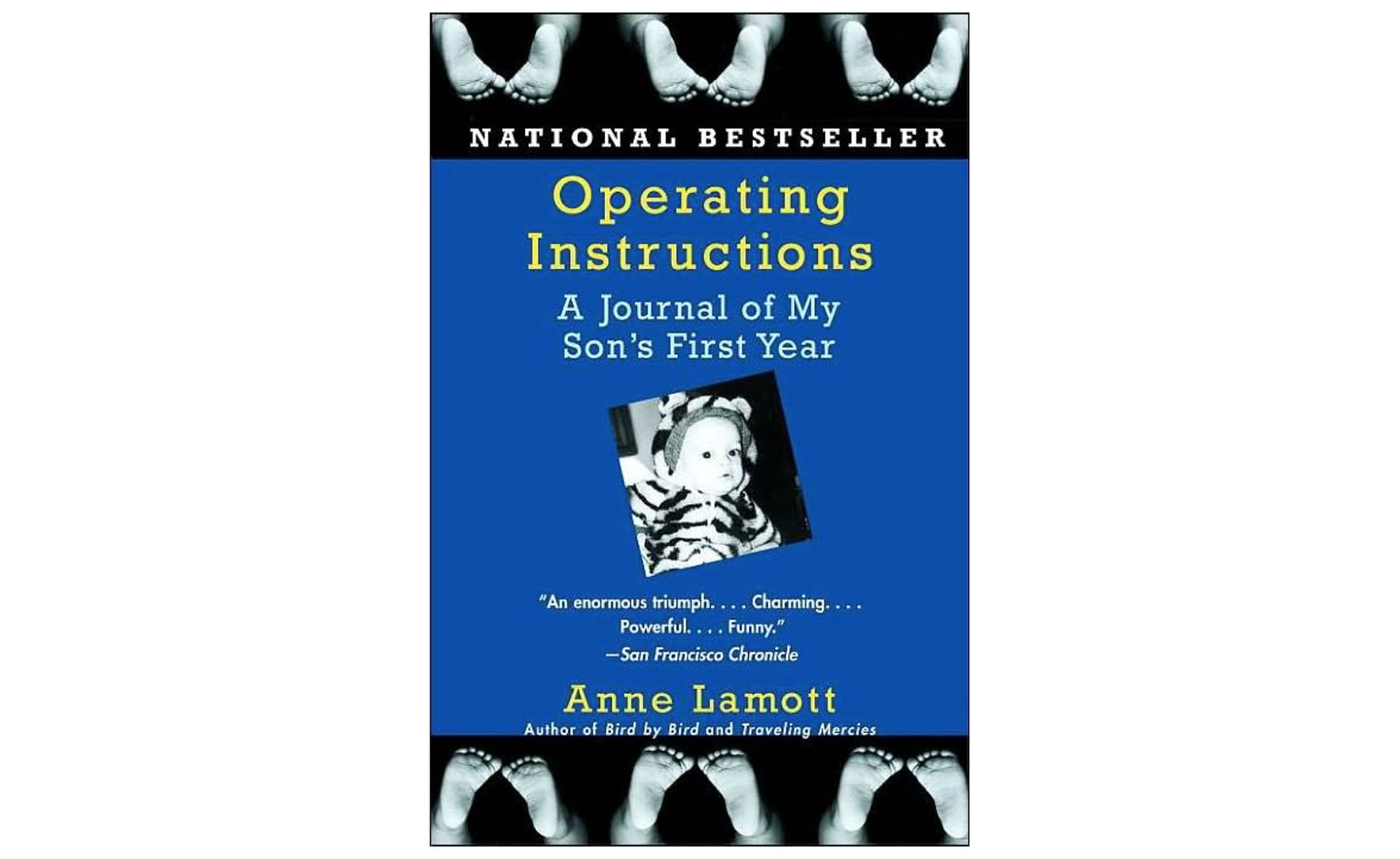 Lietošanas instrukcija, Anne Lamott