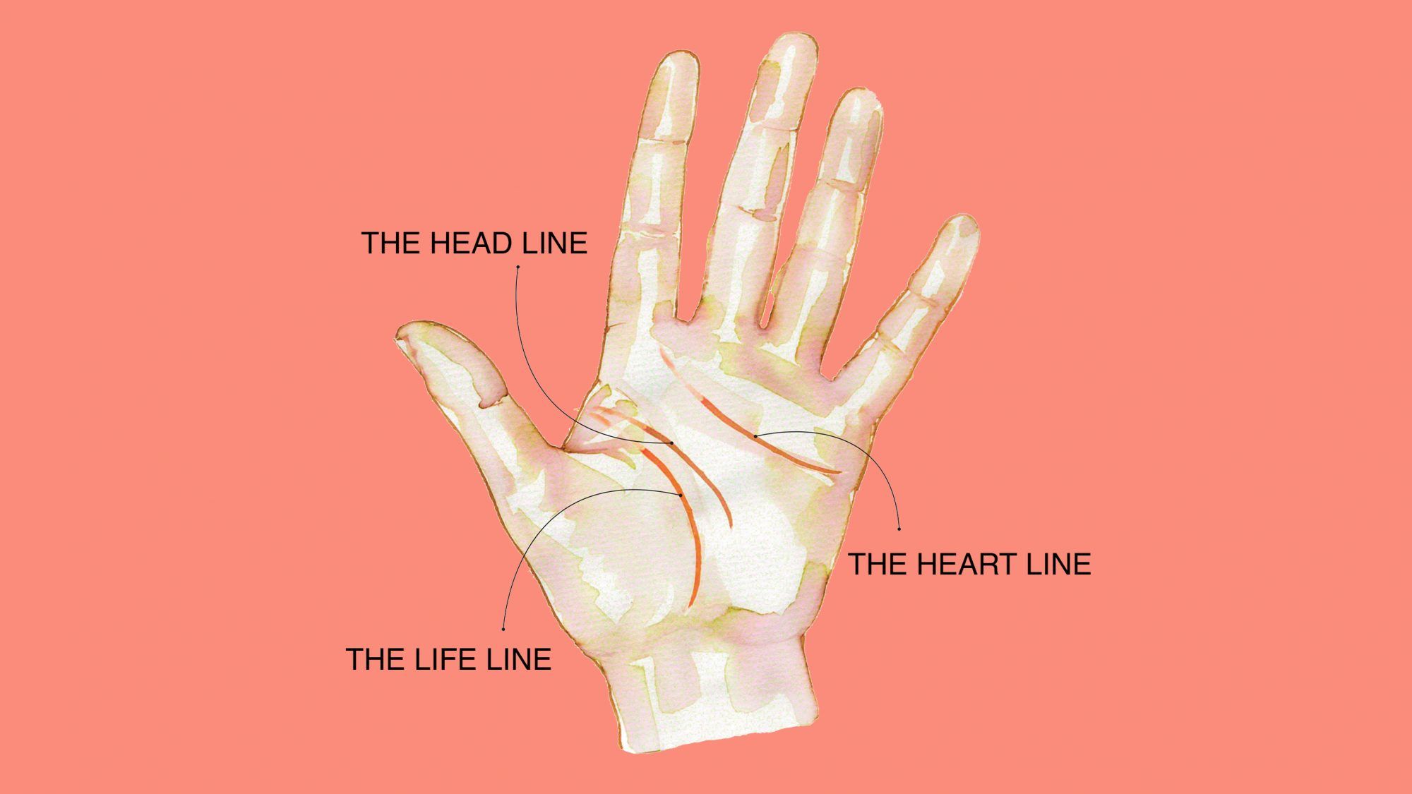 Hand lesen lebenslinie Hand Linien