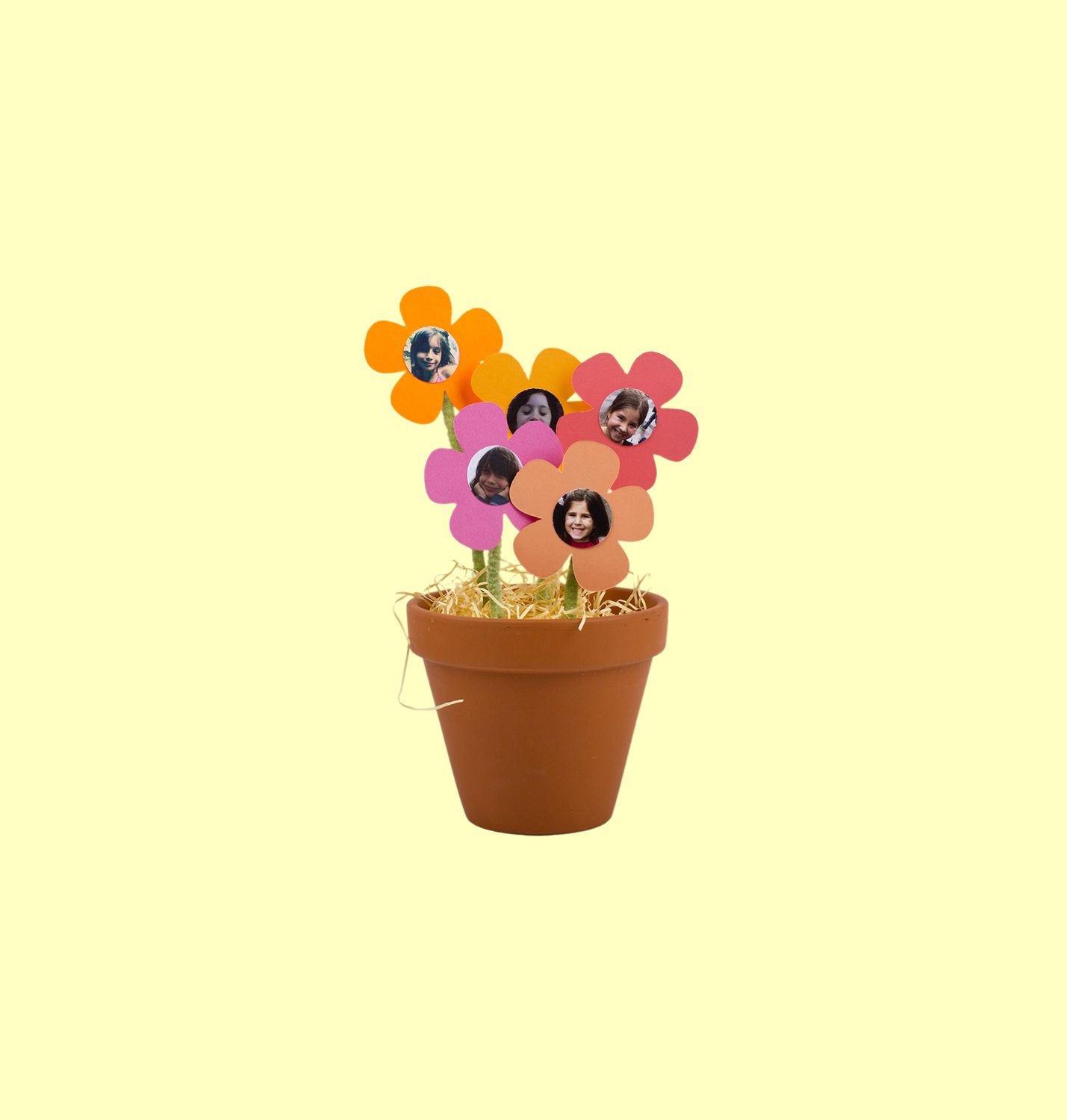 Photos de fleurs en pot