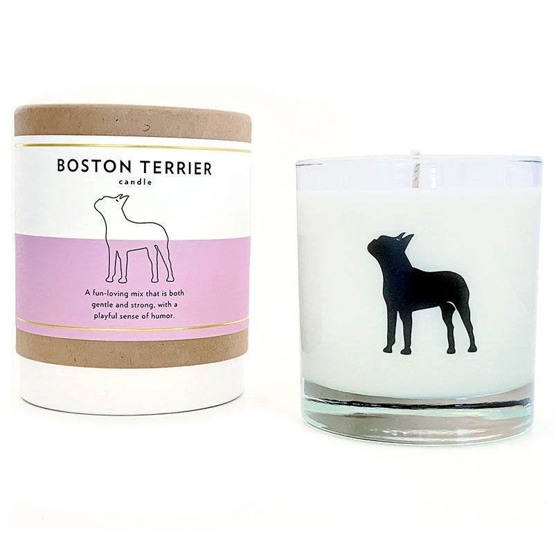 Visszatérő ajándékok - szkriptes illatú bostoni terrier gyertya