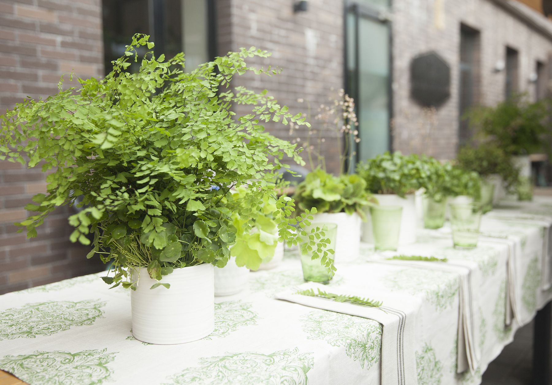 緑の植物のテーブル配置