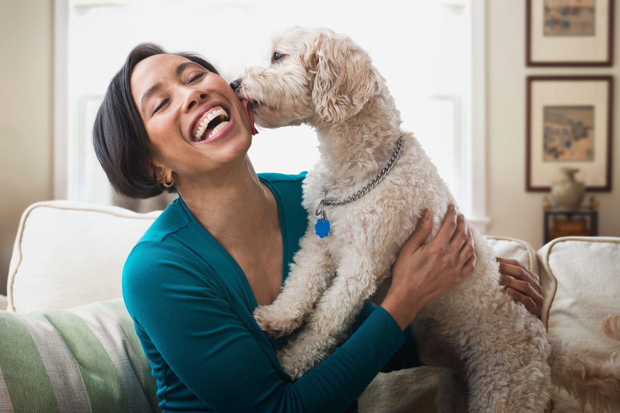 ნუ გექნებათ Hissy Fit: კვლევის თანახმად, ძაღლების პატრონები უფრო ბედნიერები არიან, ვიდრე კატების მფლობელები
