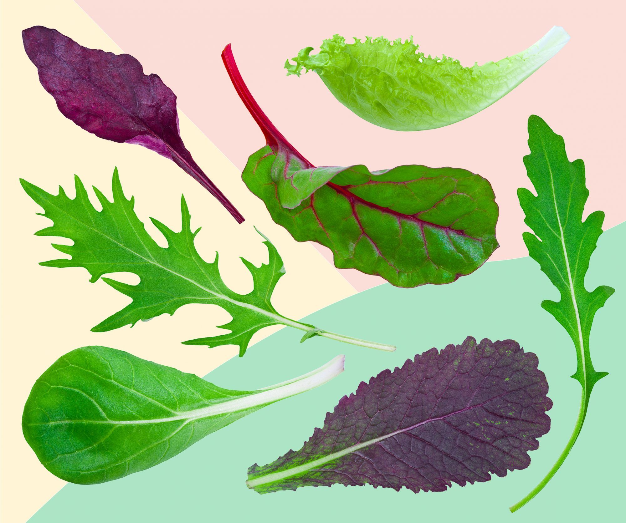 7 sorter af salat, der får dig til at blive spændt på salat