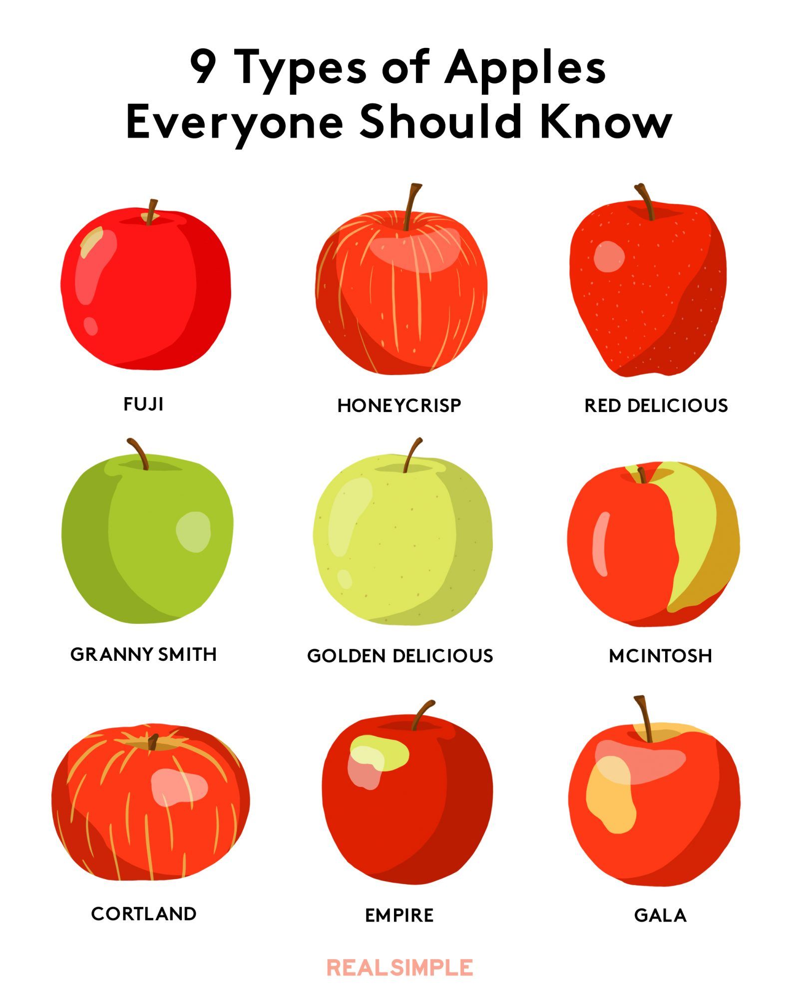Врсте јабука - различите врсте јабука слике, имена, графикон