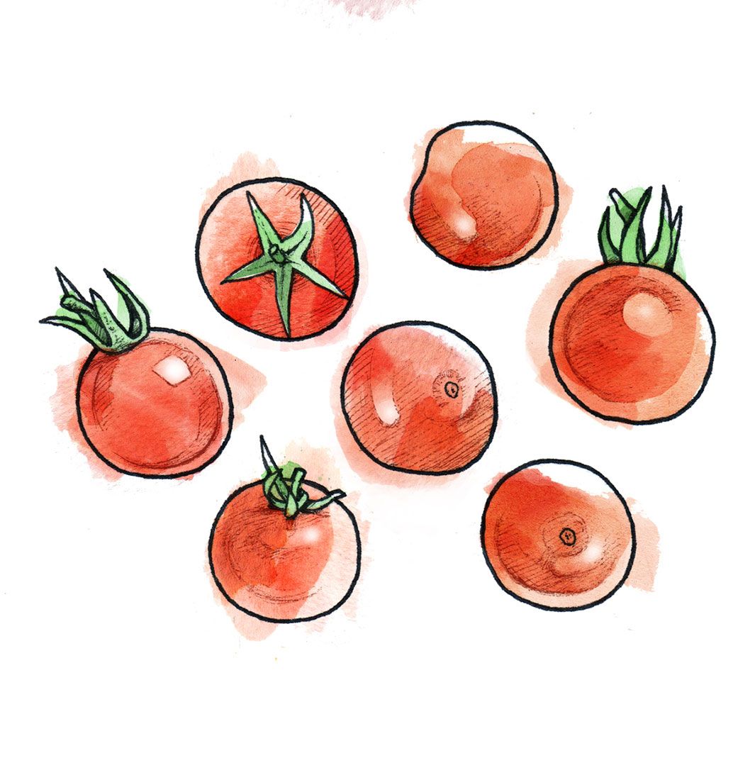Çeri domatesler