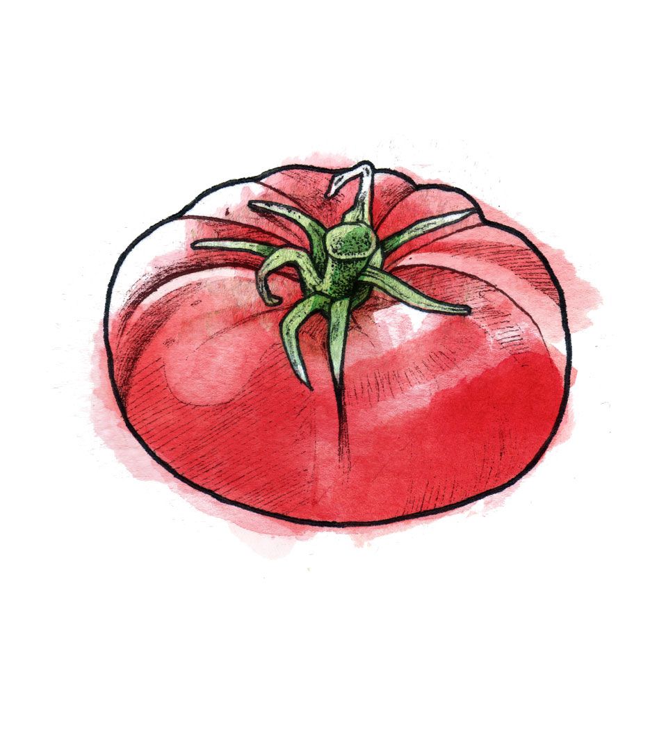 白兰地番茄