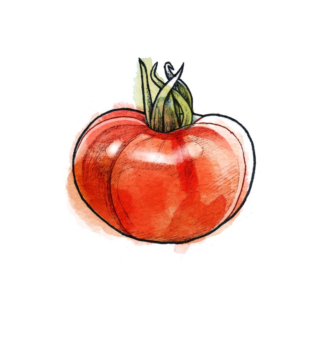 Oksekød tomater