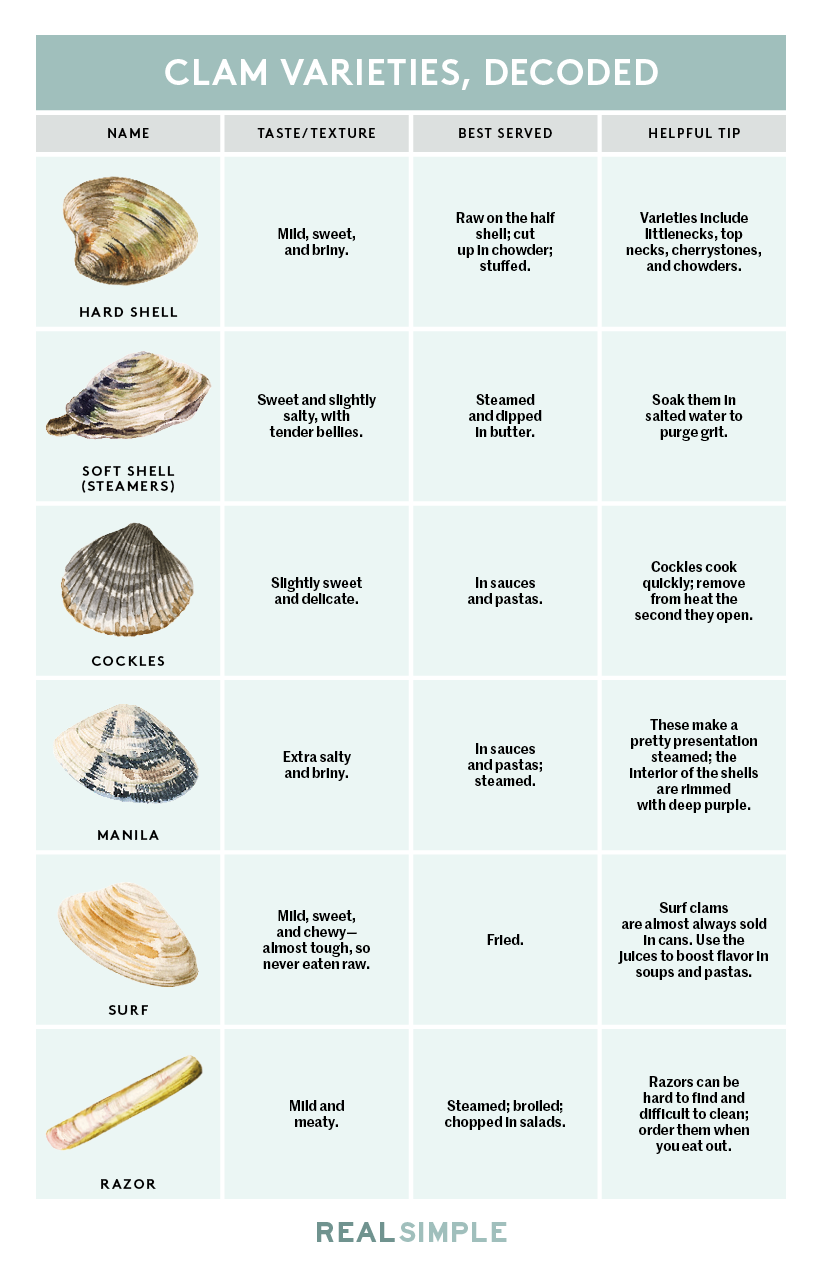 Typer av musslor: Diagram och bilder med typer av musslor, smak, tips och bilder