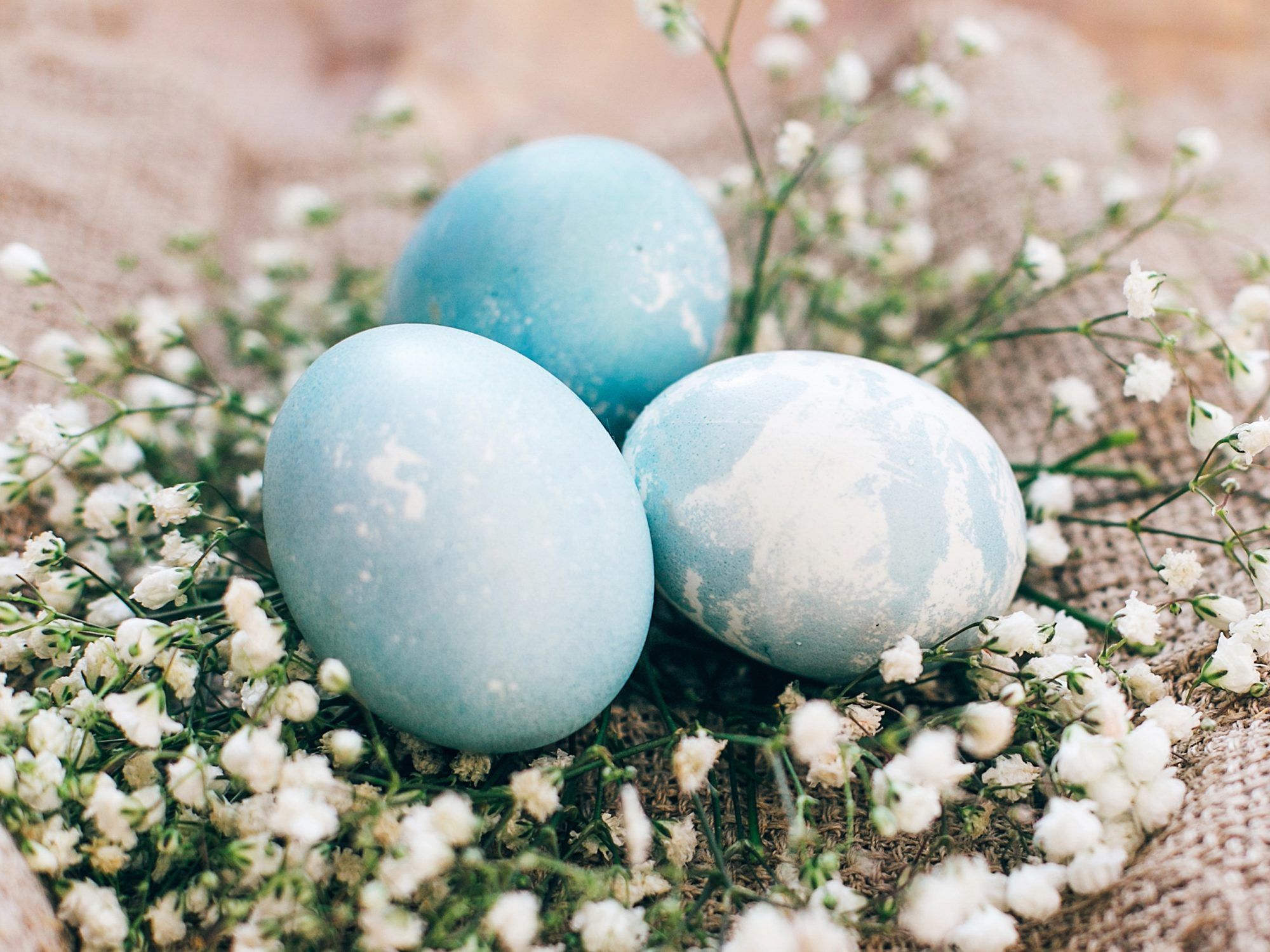 Mėlyni naminiai kiaušinių dažai