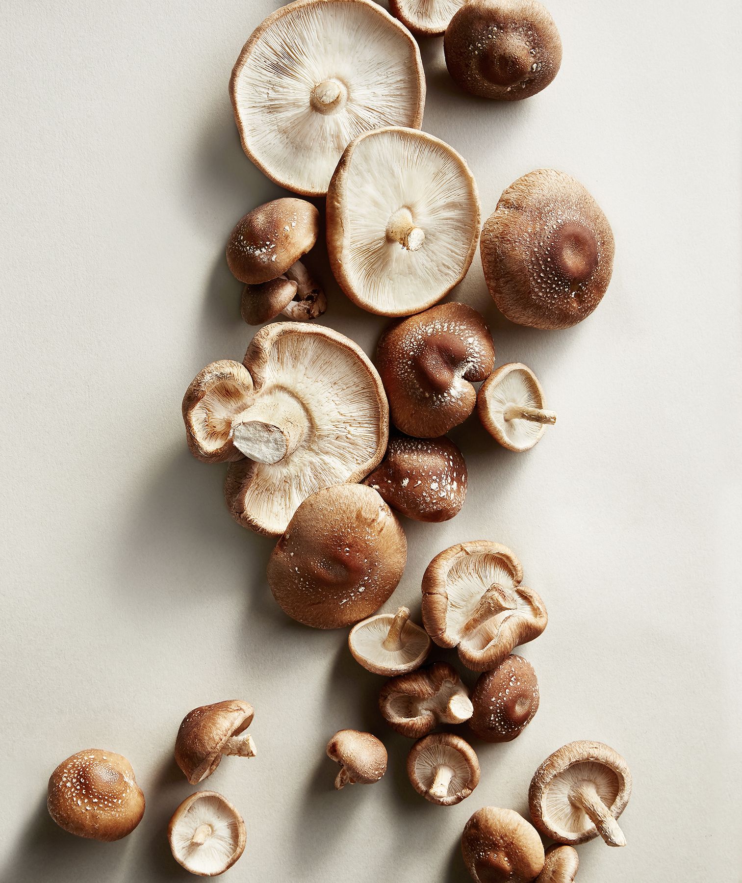 6 kreative Möglichkeiten, Shiitake-Pilze zu verwenden