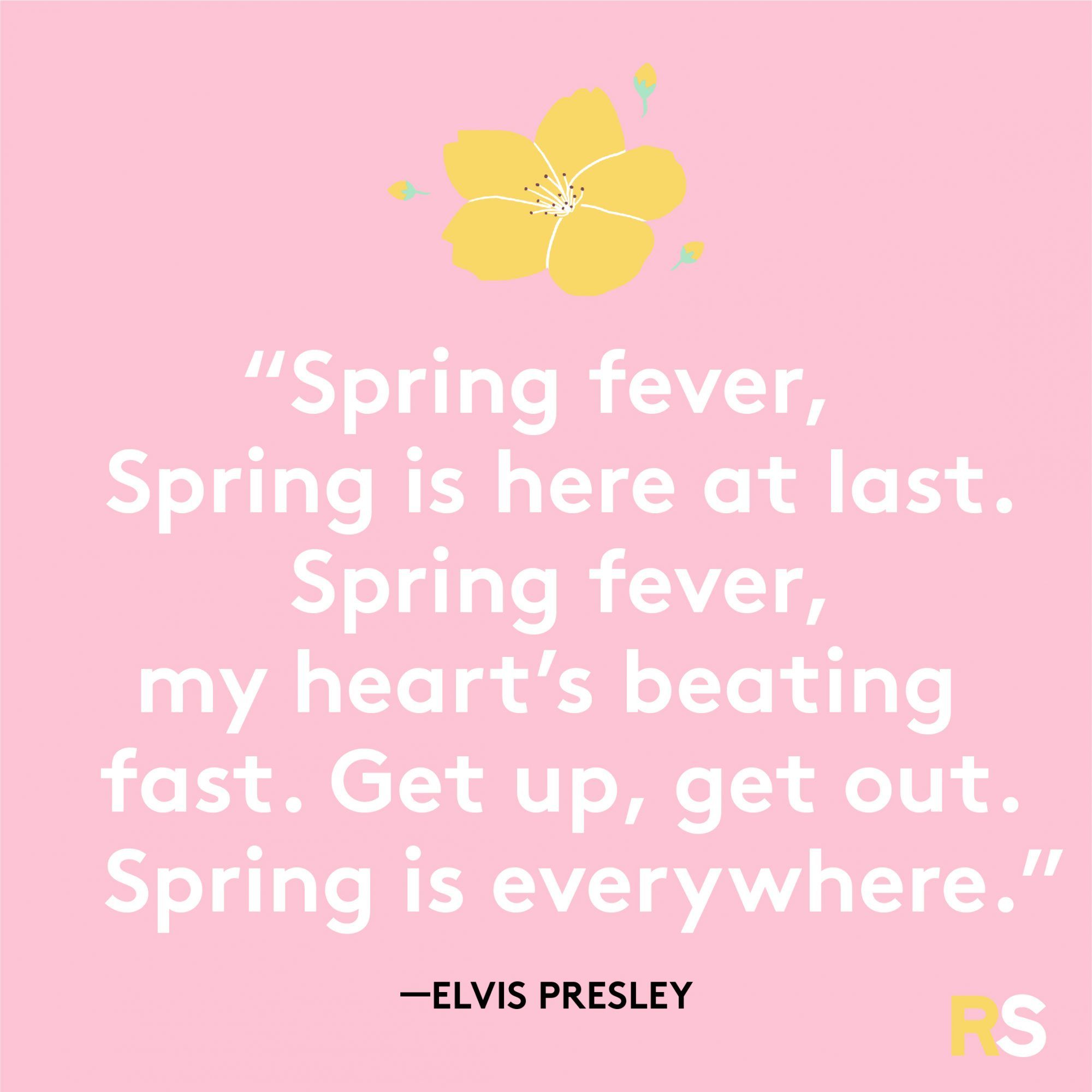 Pavasara citāts no Elvisa Preslija